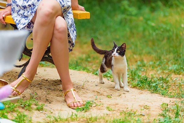 REDES DE PROTECCIÓN PARA GATOS