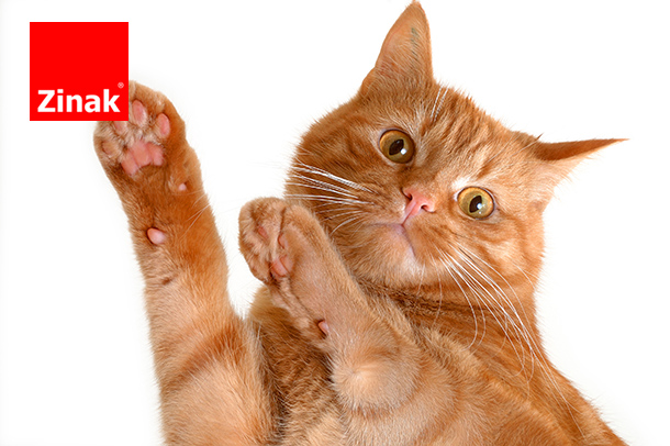 REDES PARA GATOS